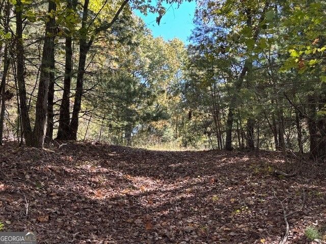 0 John Call Road, Ellijay, GA 30536