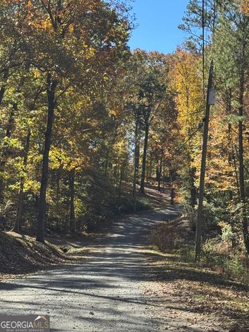 0 John Call Road, Ellijay, GA 30536