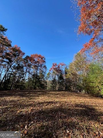 0 John Call Road, Ellijay, GA 30536