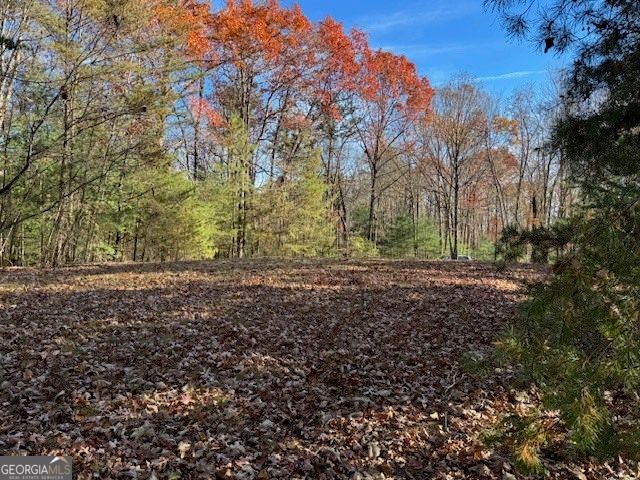 0 John Call Road, Ellijay, GA 30536