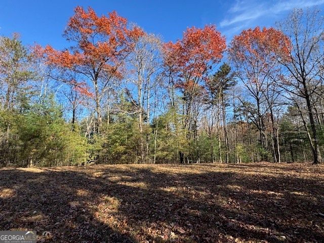 0 John Call Road, Ellijay, GA 30536