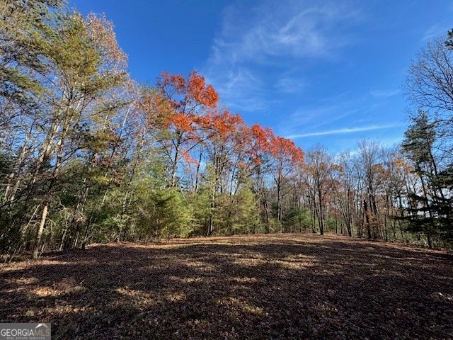 0 John Call Road, Ellijay, GA 30536