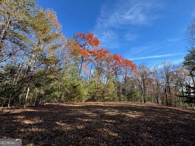 0 John Call Road, Ellijay, GA 30536