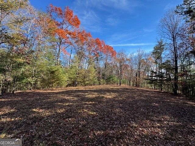 0 John Call Road, Ellijay, GA 30536