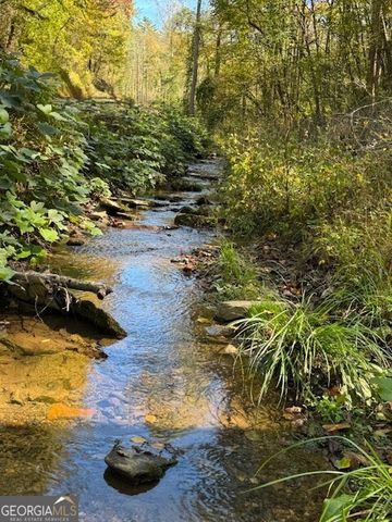 0 John Call Road, Ellijay, GA 30536