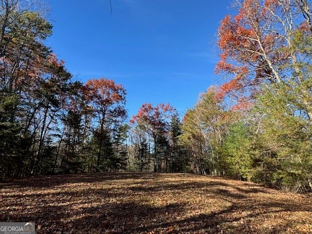 0 John Call Road, Ellijay, GA 30536