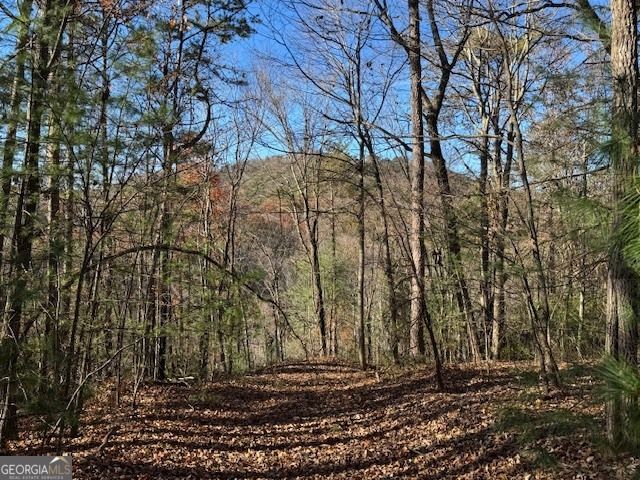 0 John Call Road, Ellijay, GA 30536