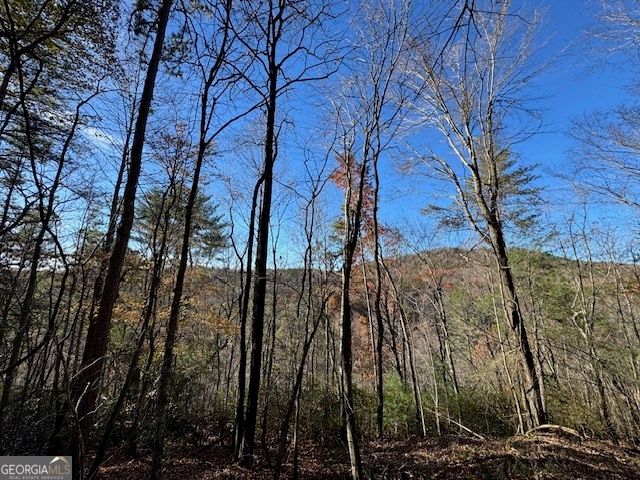 0 John Call Road, Ellijay, GA 30536