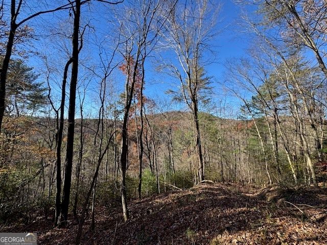 0 John Call Road, Ellijay, GA 30536