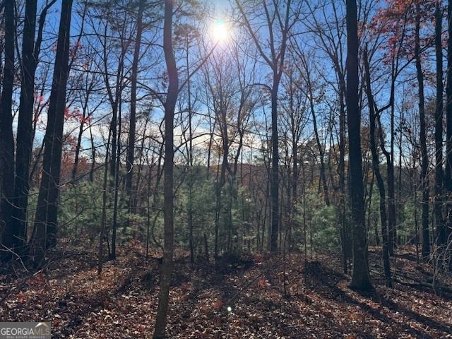 0 John Call Road, Ellijay, GA 30536