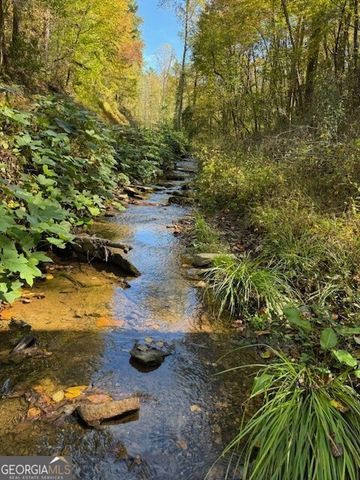 0 John Call Road, Ellijay, GA 30536