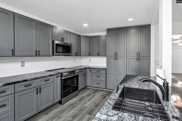 48 Rustyred Court, Chapin, SC 29036