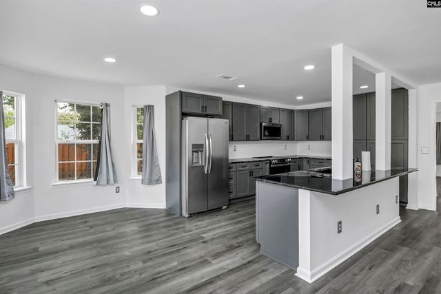48 Rustyred Court, Chapin, SC 29036
