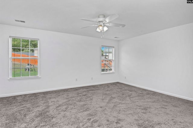 48 Rustyred Court, Chapin, SC 29036