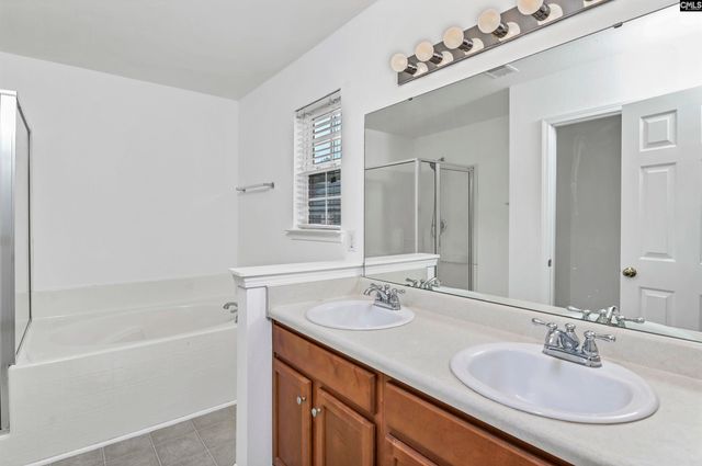 48 Rustyred Court, Chapin, SC 29036