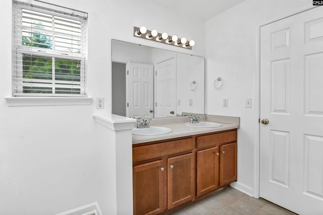 48 Rustyred Court, Chapin, SC 29036