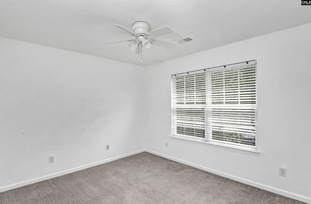 48 Rustyred Court, Chapin, SC 29036