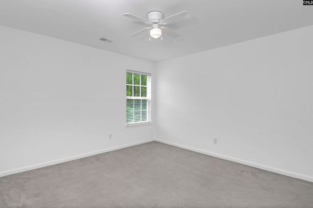 48 Rustyred Court, Chapin, SC 29036