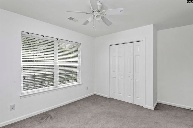 48 Rustyred Court, Chapin, SC 29036