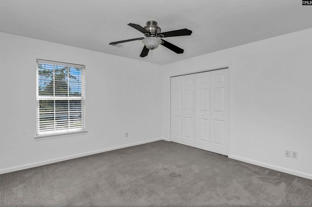 48 Rustyred Court, Chapin, SC 29036