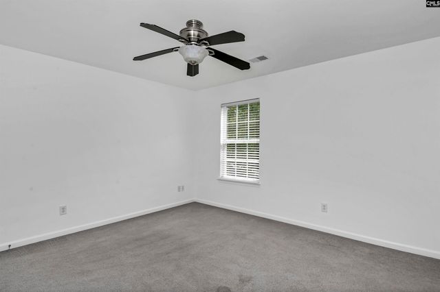48 Rustyred Court, Chapin, SC 29036