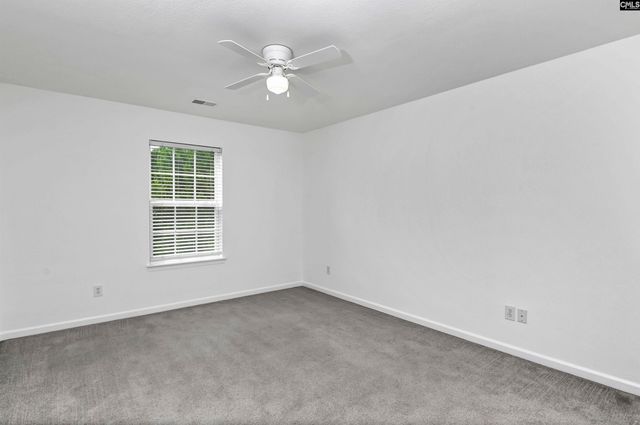 48 Rustyred Court, Chapin, SC 29036
