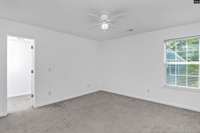 48 Rustyred Court, Chapin, SC 29036