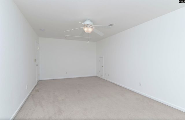 48 Rustyred Court, Chapin, SC 29036