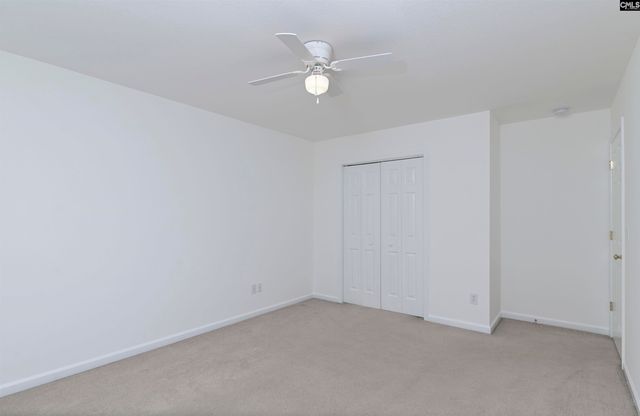 48 Rustyred Court, Chapin, SC 29036