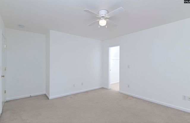 48 Rustyred Court, Chapin, SC 29036