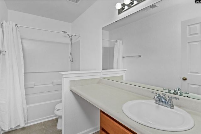 48 Rustyred Court, Chapin, SC 29036