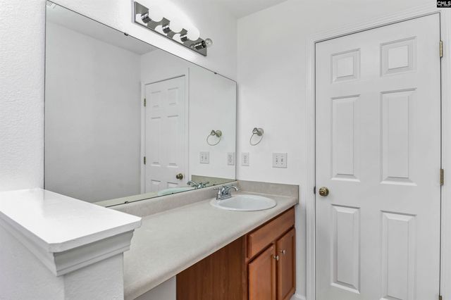 48 Rustyred Court, Chapin, SC 29036