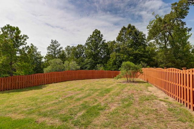 48 Rustyred Court, Chapin, SC 29036