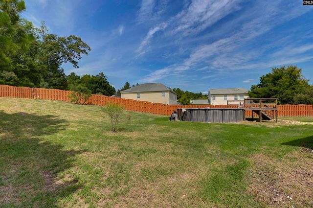 48 Rustyred Court, Chapin, SC 29036