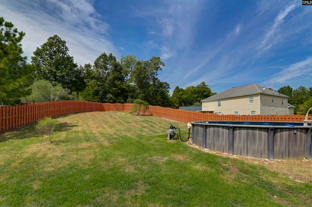 48 Rustyred Court, Chapin, SC 29036