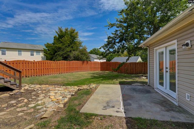48 Rustyred Court, Chapin, SC 29036
