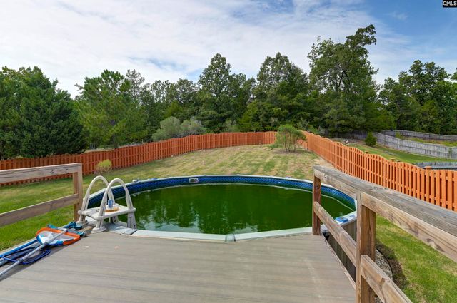 48 Rustyred Court, Chapin, SC 29036