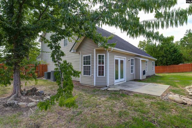 48 Rustyred Court, Chapin, SC 29036