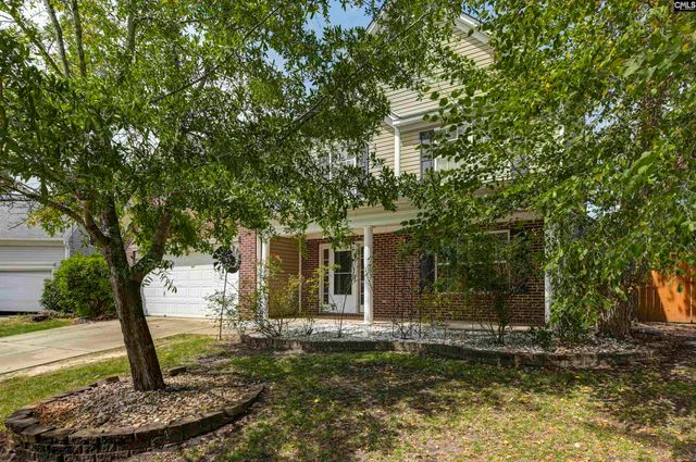 48 Rustyred Court, Chapin, SC 29036