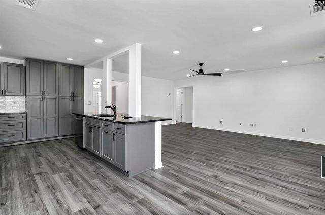 48 Rustyred Court, Chapin, SC 29036