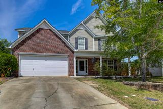 48 Rustyred Court, Chapin, SC 29036