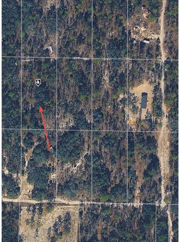 SE 64TH PLACE, Morriston, FL 32668