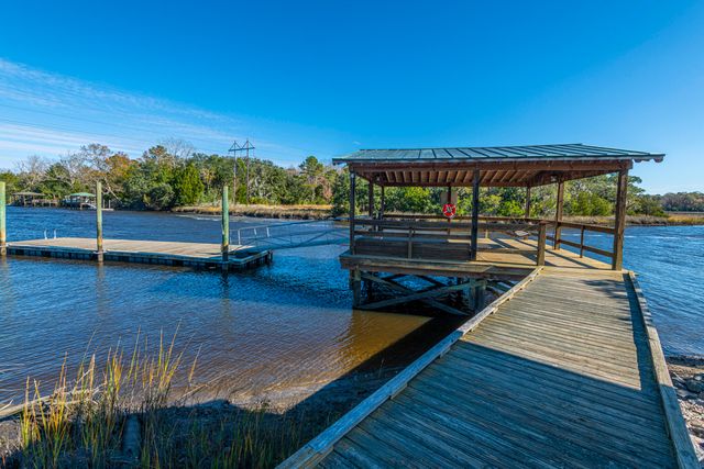 3984 Berberis Lane, Ravenel, SC 29470