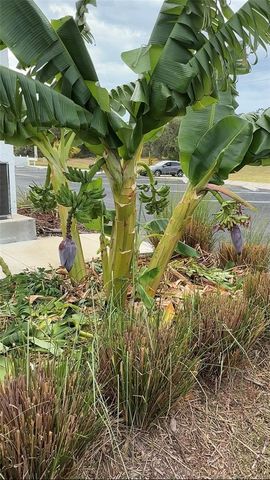 146 BOUNDARY BOULEVARD B202, Rotonda West, FL 33947