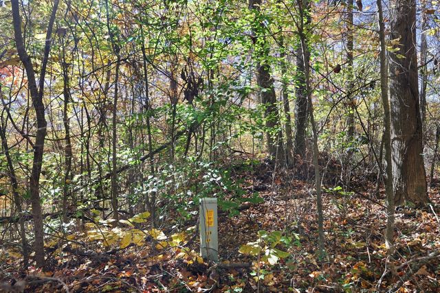 0 Smithville Hwy, Silver Point, TN 38582