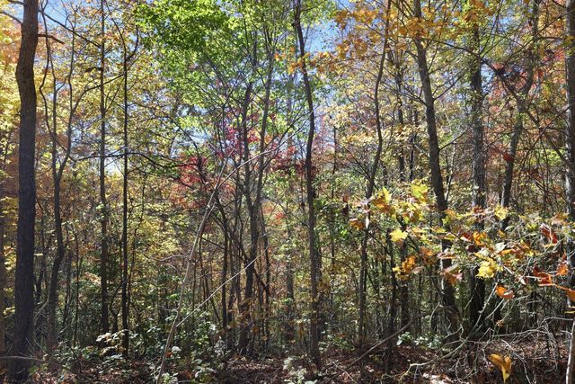 0 Smithville Hwy, Silver Point, TN 38582