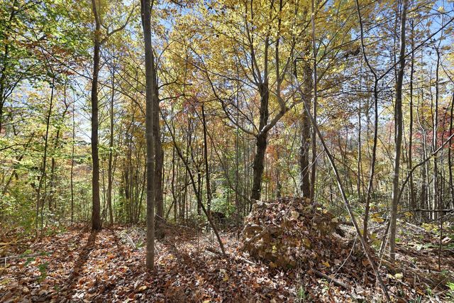 0 Smithville Hwy, Silver Point, TN 38582