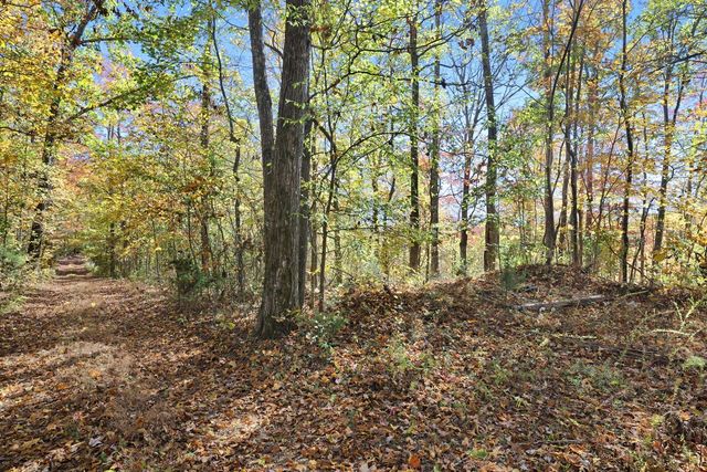 0 Smithville Hwy, Silver Point, TN 38582