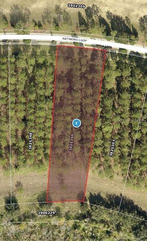 16802 ARTIMINO LOOP, Bella Collina, FL 34756