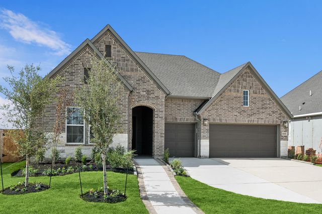 16303 Blue Mistflower Lane, Hockley, TX 77447